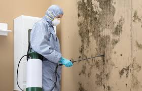 Best Mold Prevention Services  in Broad Creek, NC